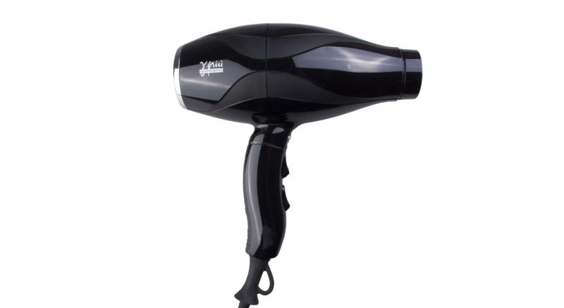 سشوار حرفه ای پرینسلی Princely مدل PR260AT-فروشگاه اینترنتی آرایشی بهداشتی آزارو