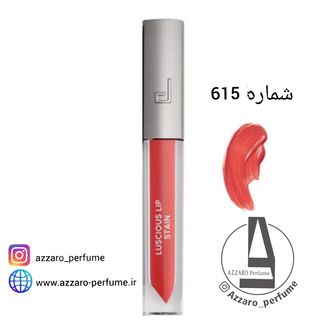 رژ لب مایع دوسه Stain جدید doucce شماره 615-فروشگاه اینترنتی آرایشی بهداشتی آزارو