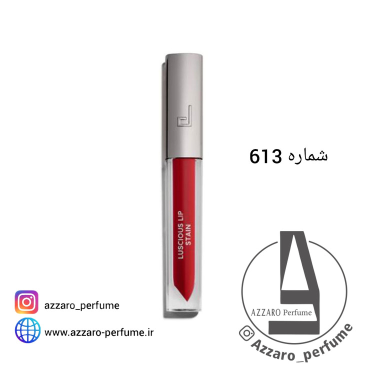 رژ لب مایع دوسه Stain جدید doucce شماره 613-فروشگاه اینترنتی آرایشی بهداشتی آزارو