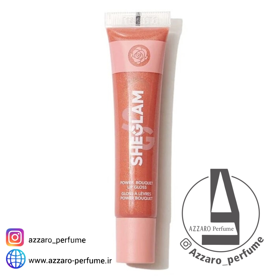 لیپ گلاس شیگلم رنگ PINK SLIP اصلی،اورجینال_فروشگاه اینترنتی آرایشی بهداشتی آزارو در شیراز