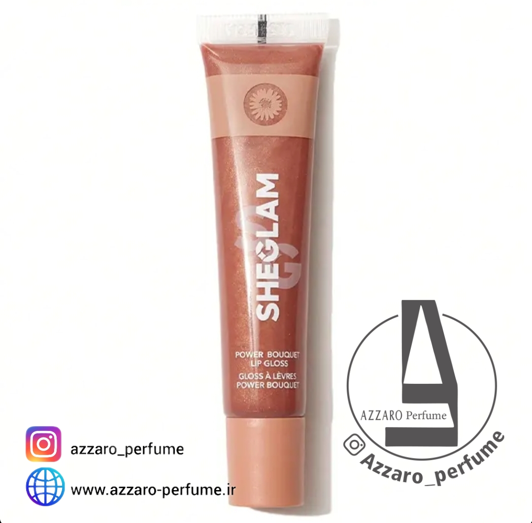 لیپ گلاس شیگلم رنگ vipeach اصل،اورجینال_فروشگاه اینترنتی آرایشی بهداشتی آزارو در شیراز