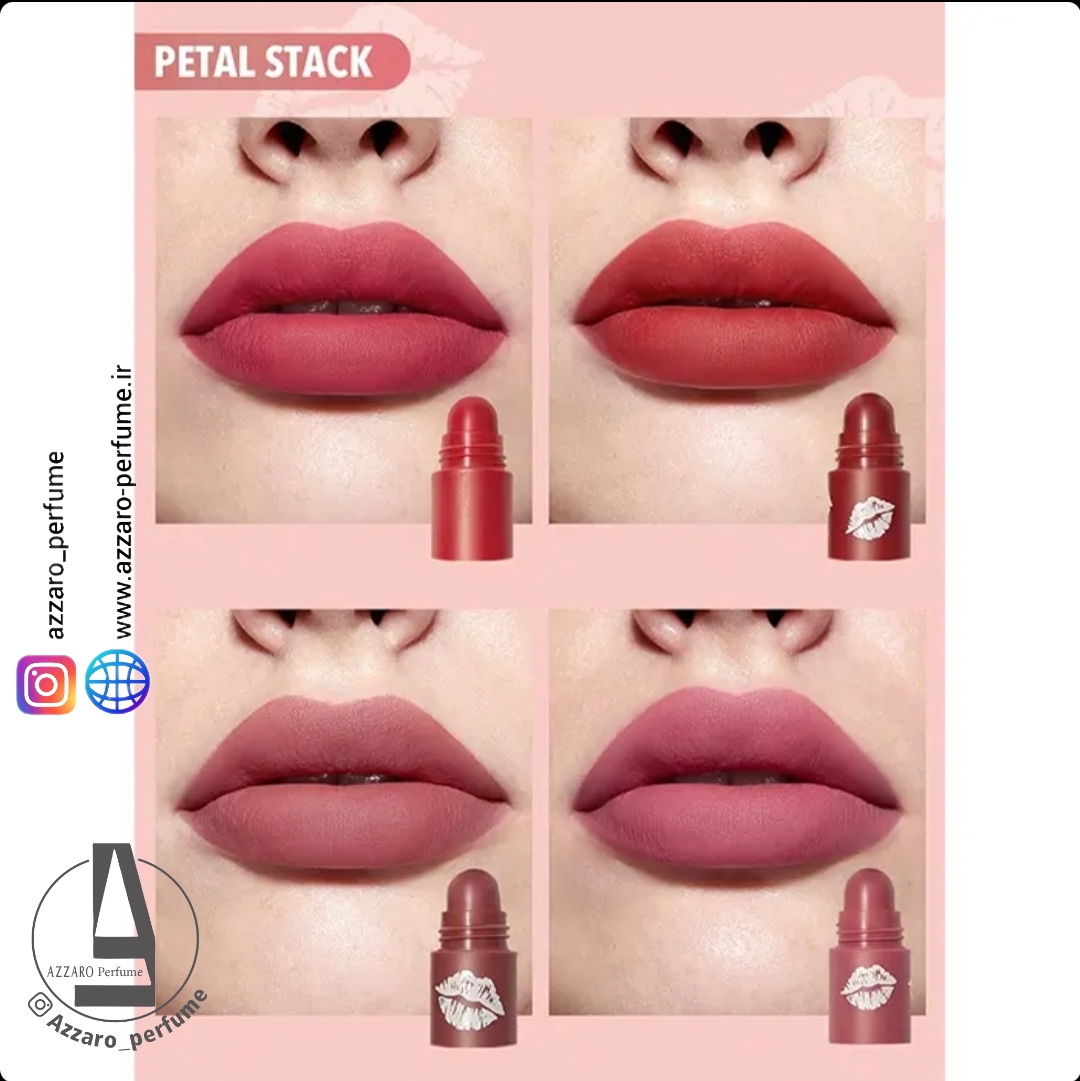 رژ لب چهار تکه شیگلم sheglam مدل pink-petal stack پینک پتال استاک پیتال‌_فروشگاه اینترنتی آرایشی بهداشتی آزارو