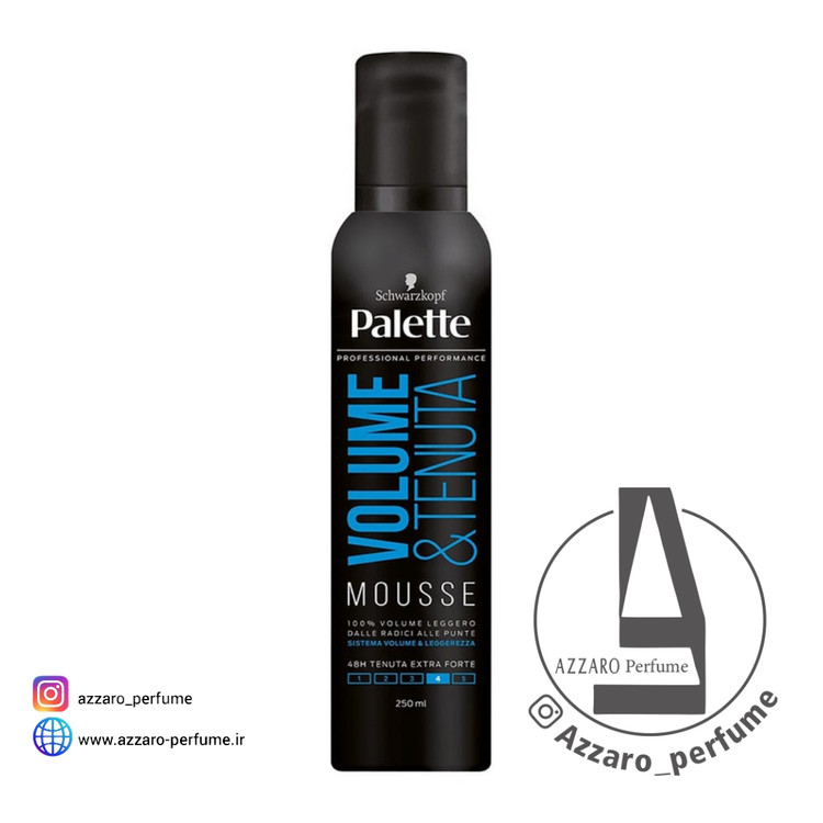 موس مو حالت دهنده و حجم دهنده مو شوارتسکف برند پالت حجم 250 میل-فروشگاه اینترنتی آرایشی و بهداشتی آزارو در شیراز