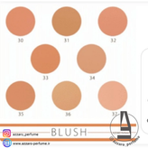 رژ گونه آرمتی شماره 31-فروشگاه اینترنتی آرایشی و بهداشتی آزارو در شیراز