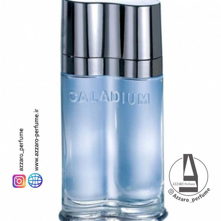 ادکلن مردانه ایو د سیستل کالادیوم CALADIUM حجم 100 میل-فروشگاه اینترنتی آرایشی و بهداشتی آزارو در شیراز