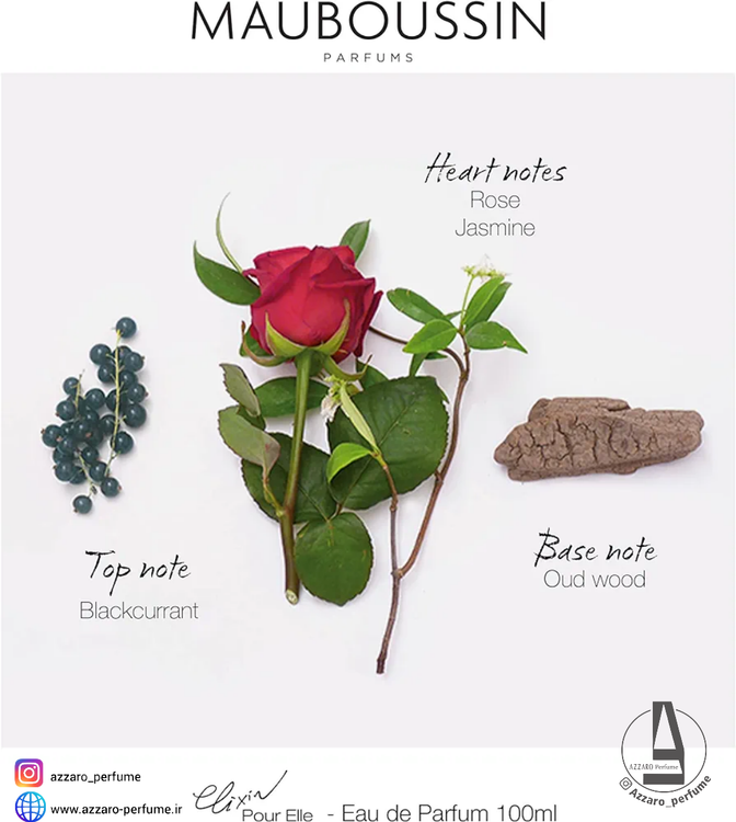 ادکلن زنانه مابوسین له الکسیر پور ال حجم 100میل-فروشگاه اینترنتی آرایشی و بهداشتی آزارو در شیراز