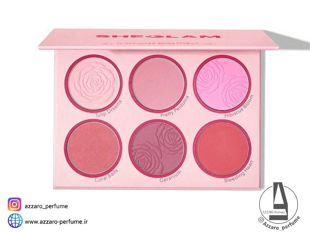 پالت رژگونه 6 رنگ شیگلم مدل Blushing Bouquet 7.7 حجم 18 گرم-فروشگاه اینترنتی آرایشی و بهداشتی آزارو در شیراز