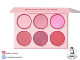 پالت رژگونه 6 رنگ شیگلم مدل Blushing Bouquet 7.7 حجم 18 گرم-فروشگاه اینترنتی آرایشی و بهداشتی آزارو در شیراز