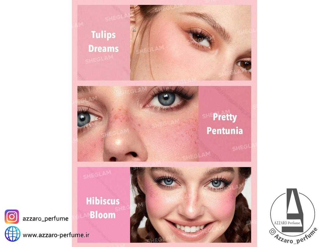 پالت رژگونه 6 رنگ شیگلم مدل Blushing Bouquet 7.7 حجم 18 گرم-فروشگاه اینترنتی آرایشی و بهداشتی آزارو در شیراز