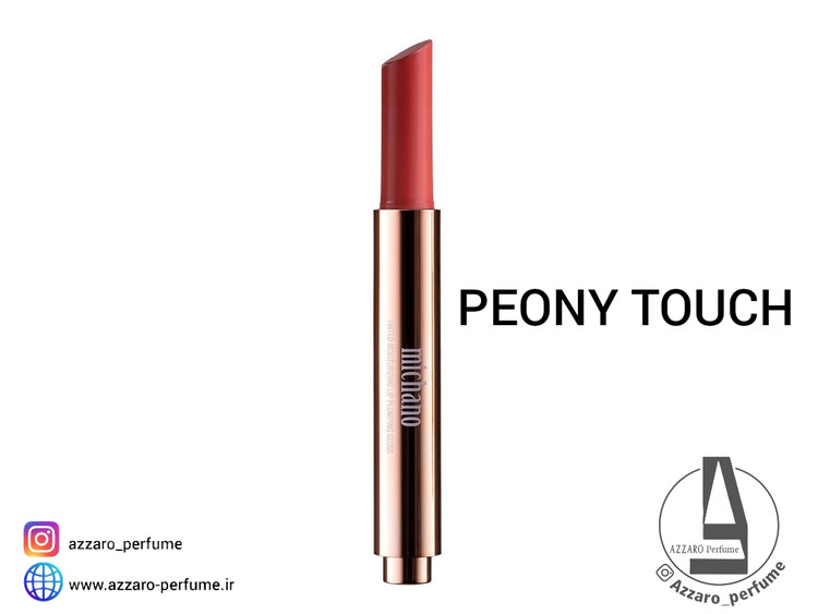 پلامپر لب حجم دهنده میچانو MICHANO رنگ PEONTY TOUCH_فروشگاه اینترنتی آرایشی بهداشتی آزارو در شیراز