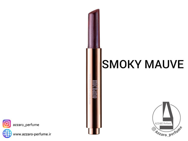 پلامپر لب حجم دهنده میچانو MICHANO رنگ SMOKY MAUVE_فروشگاه اینترنتی آرایشی بهداشتی آزارو در شیراز