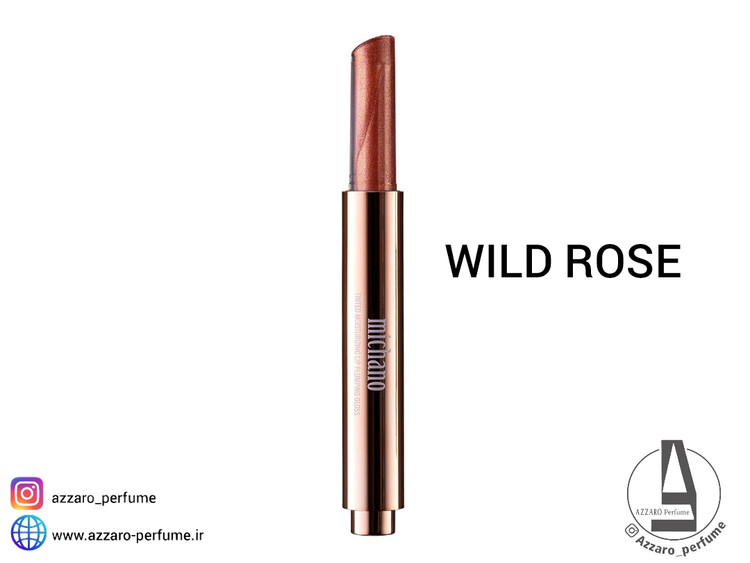 پلامپر لب حجم دهنده میچانو MICHANO رنگ WILD ROSE_فروشگاه اینترنتی آرایشی بهداشتی آزارو در شیراز